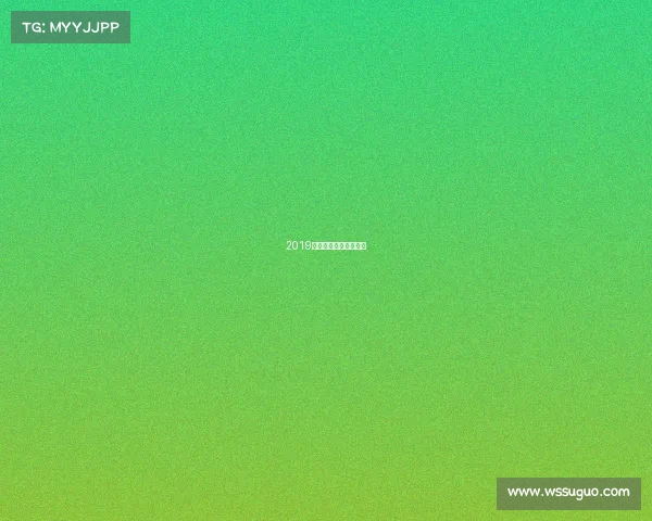 2019年最新跆拳道比赛规则