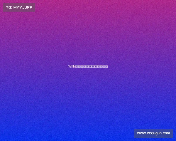 WKN赛事全面解析揭秘世界踢拳击网络的核心赛事体系