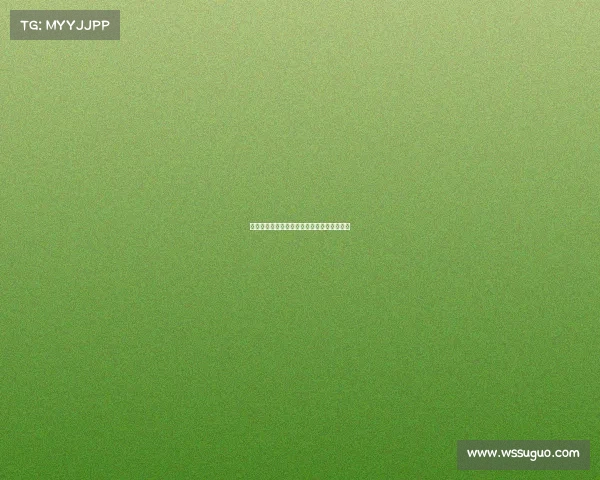 足球中国有什么赛事—国内足球赛事有哪些？